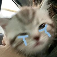 เสียงต้นฉบับ - เฟิร์สงับ.