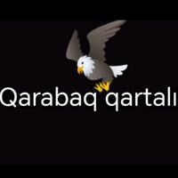 qarabaq_qartali1