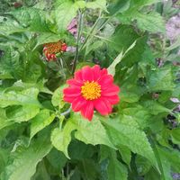 anhnguyen05767