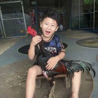 aekkapopfarm05