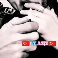 11_hvs_19