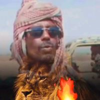 jagam.barkay