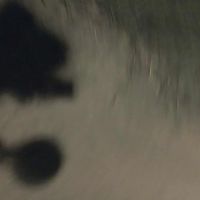 ดีใจรีปล่าว