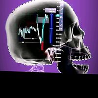 hamayoonforextrader804
