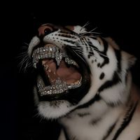 suara asli - อัลฟาซีย์