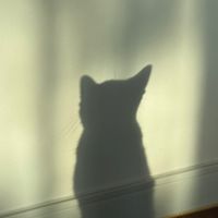 오리지널 사운드 - 노래 들어