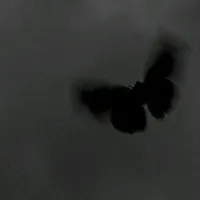 original sound - __kkno7