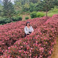 original sound - Maricar Lagundino