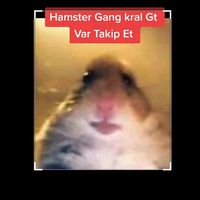 orijinal ses