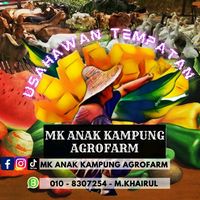 mk_anak_kampung