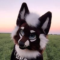 rico_cookie