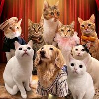 オリジナル楽曲 - 🎀わんにゃんだらけ🐶🐱🧃