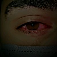 d_awliy