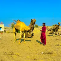 original sound - jam.ilyascholistani