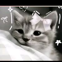 เสียงต้นฉบับ - กีวี่คั้บ
