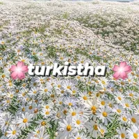 original sound - turkistha