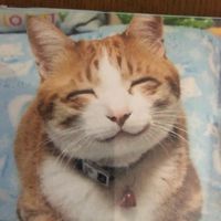 オリジナル楽曲 - ツイテルスリーセブン