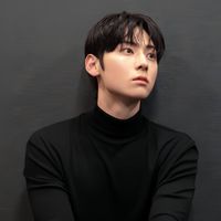 optimus_hwangdo