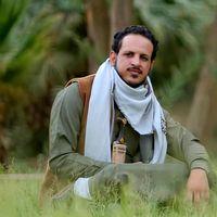 الصوت الأصلي