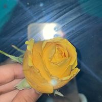 illostalgic_shawon