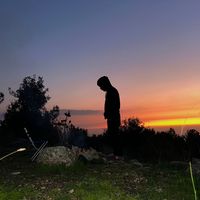 الصوت الأصلي