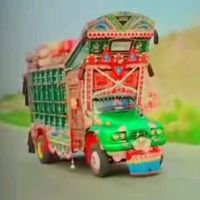 malik8591c