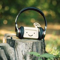 оригинальный звук