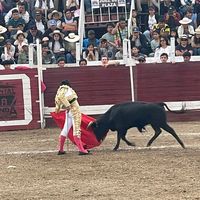 fabrirojas59
