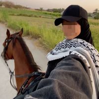 الصوت الأصلي