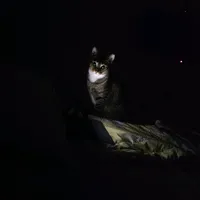 cause i really need to love