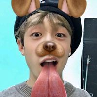 wolfc_hn