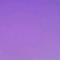 gene_2702