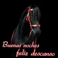 original sound - ismael.chavez.828