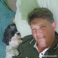 dineicavallin