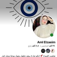 amlhassanelzaiem8