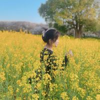 nhạc nền - H U Y E N🍏🧋