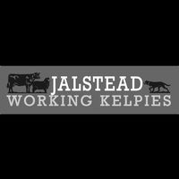 jalsteadworkingkelpies