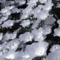 オリジナル楽曲 - hall_pic🐏