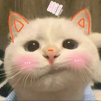 dyet2m2wuij6