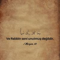 orijinal ses
