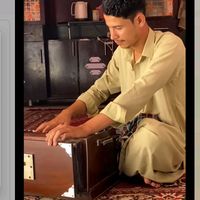 salmandaad4