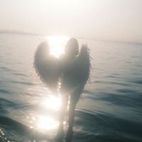 marti_wixs