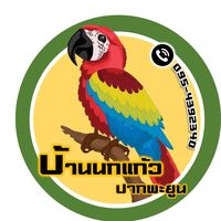 เสียงต้นฉบับ - chainarongkhaioya
