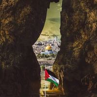zaensaleem0