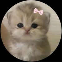 isabely_0fcc