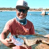 ronaldohendricks