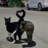 original sound - _slomanoe_4