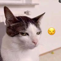 suara asli - Sukak sad