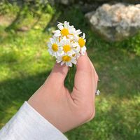 fatma_betul_olgun