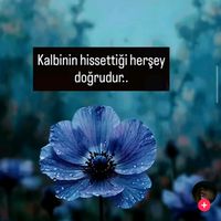 asi_yurek.55